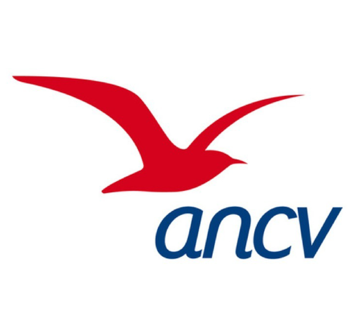 L’ANCV relance l’appel à projets pour le départ des personnes âgées dépendantes et/ou de leurs aidants.