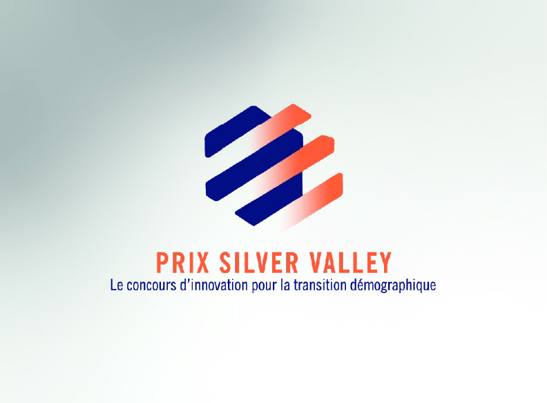 Visuel logo silver valley