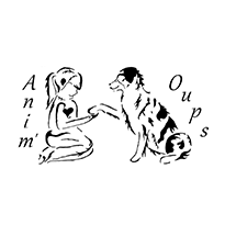 Anim'Oups Logo