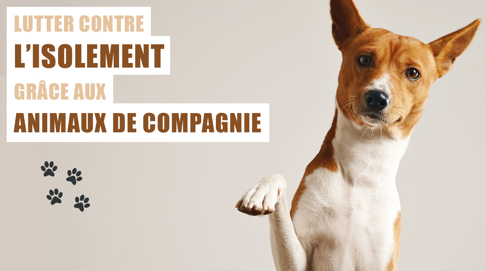 Zoom sur l'opportunité d'adopter un animal de compagnie pour lutter contre la solitude des seniors.