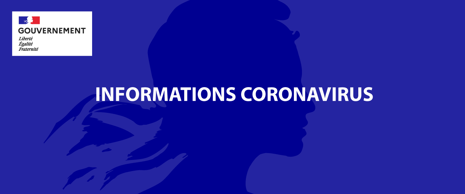 Coronavirus, gouvernement français