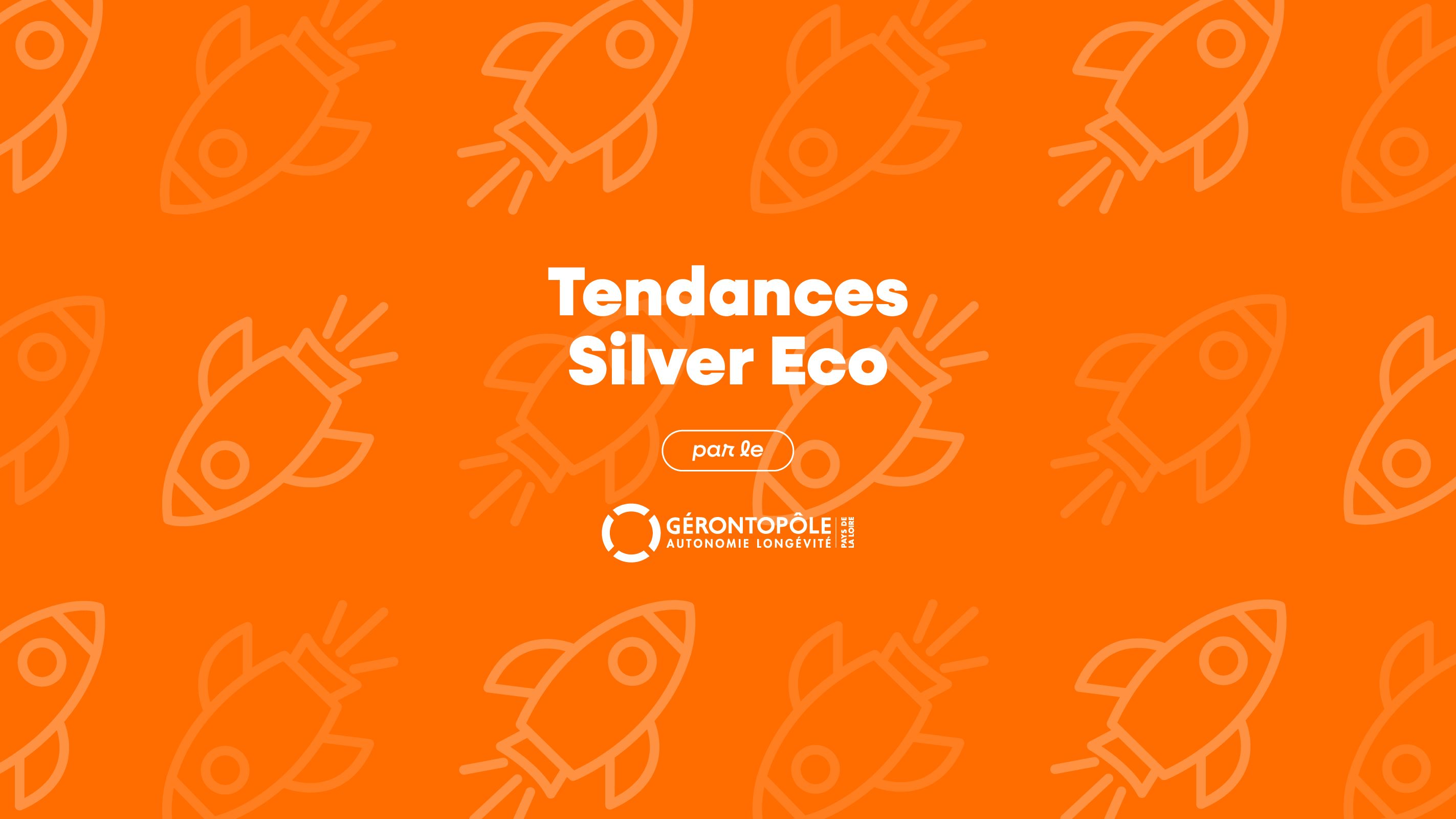 Visuel des Tendances Silver Eco