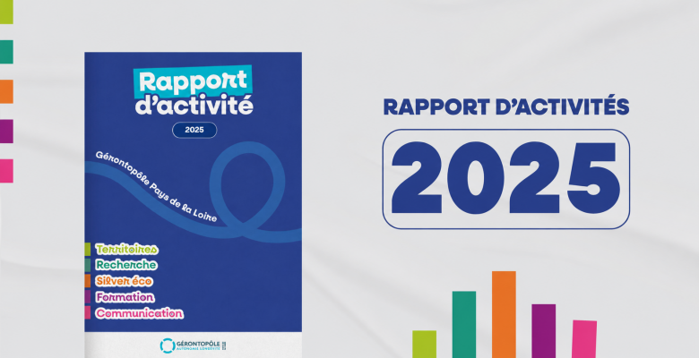 VIsuel rapport d'activité 2025