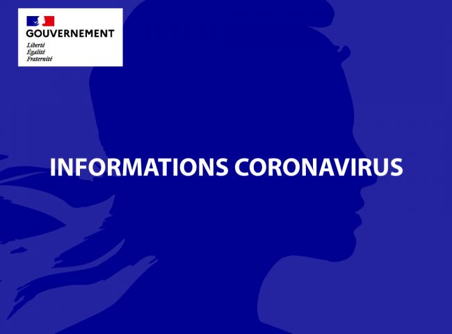 Coronavirus, gouvernement français
