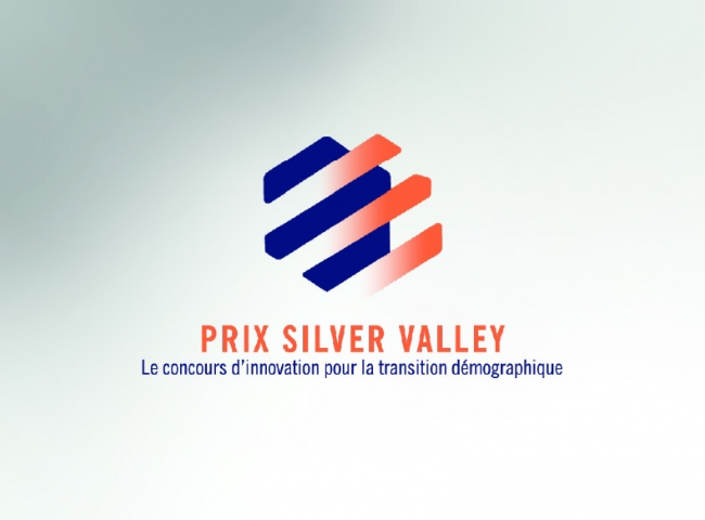 Visuel logo Silver Valley