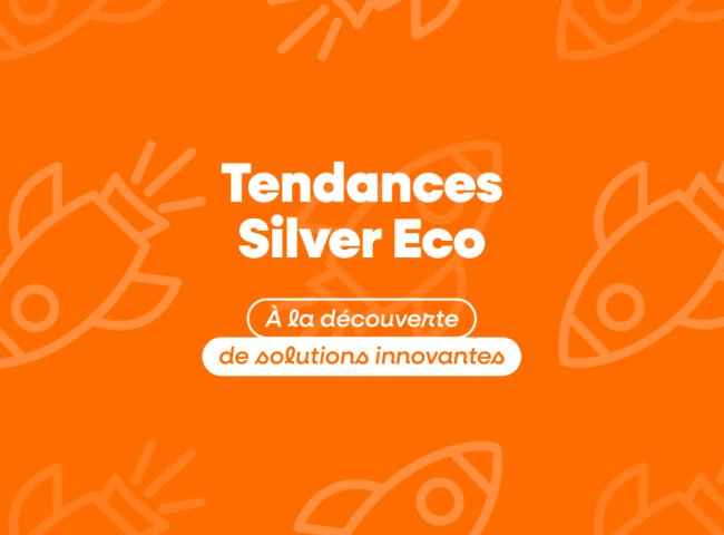 Visuel des Tendances Silver Eco